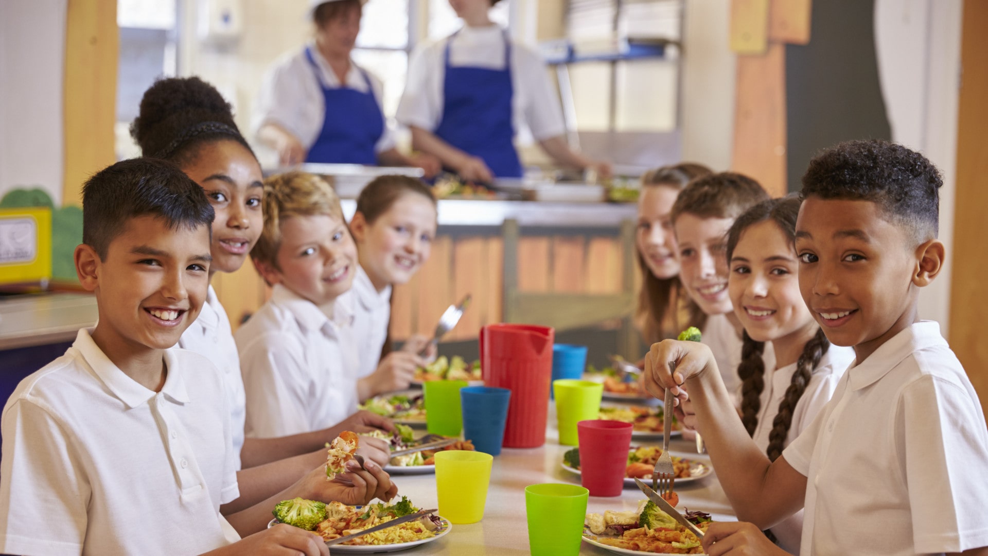 Schools Meals Catering
